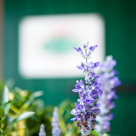 Callalta Hotel Ponte di Piave